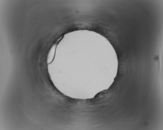 X0000111901345200908240952