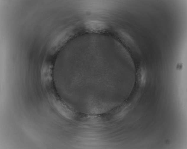 X0000111901346200908240952