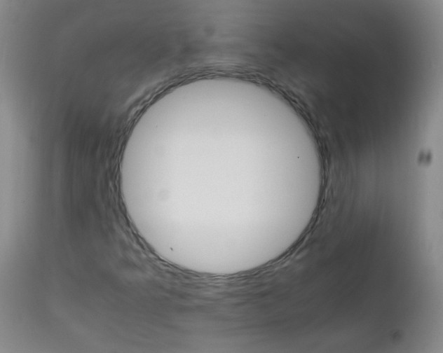 X0000111901349200908240952