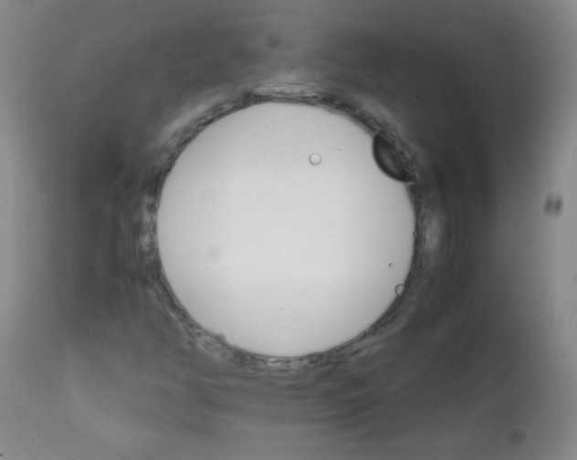 X0000111901350200908240952