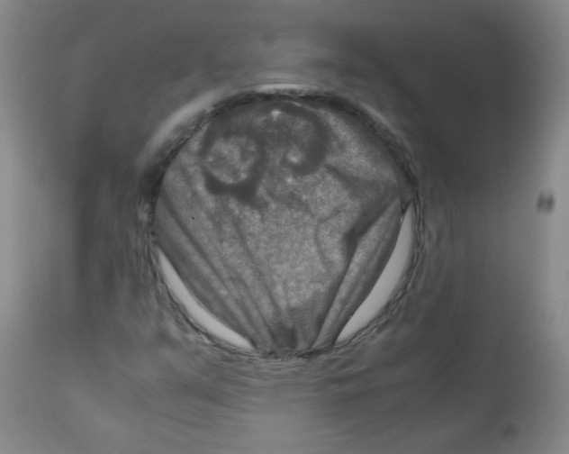 X0000111901351200908240952