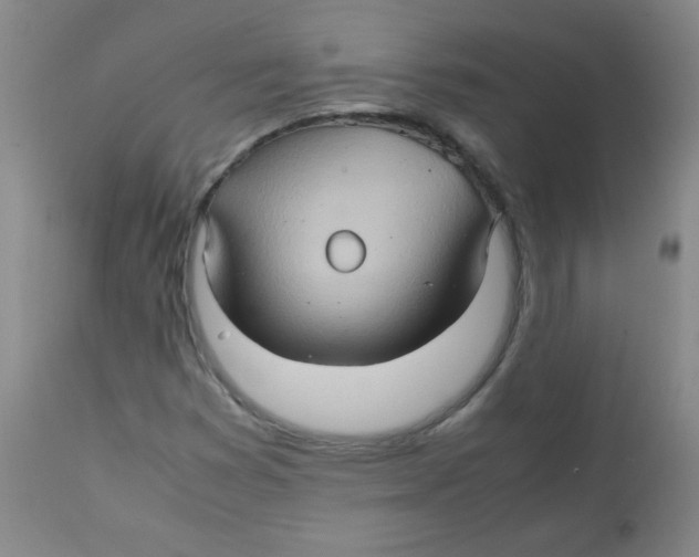 X0000111901353200908240952