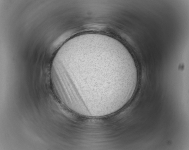 X0000111901354200908240952