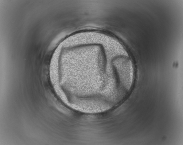 X0000111901355200908240952