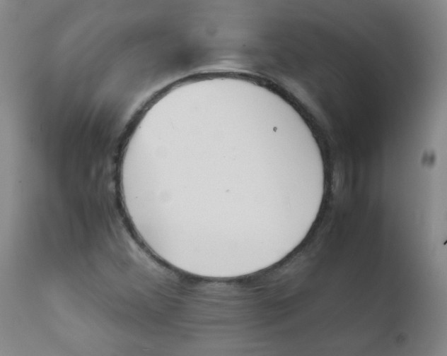 X0000111901356200908240952