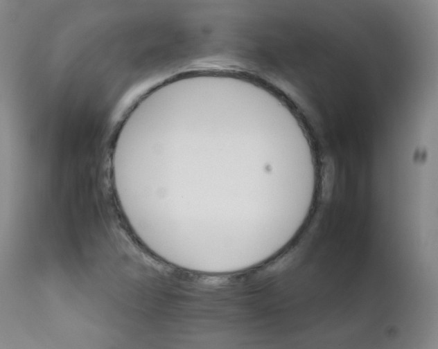 X0000111901358200908240952