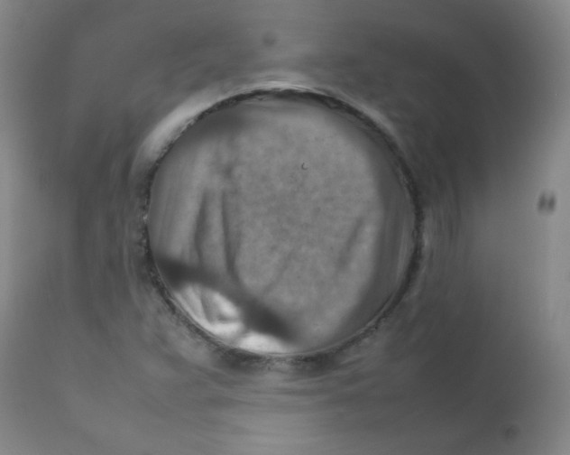 X0000111901359200908240952