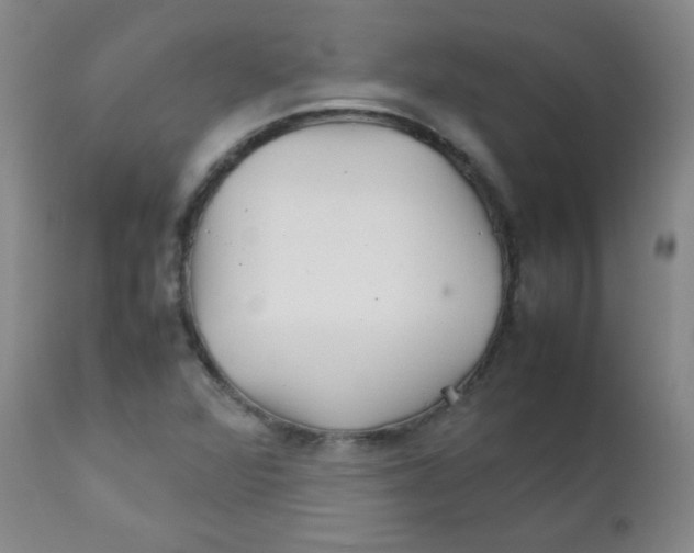 X0000111901360200908240952