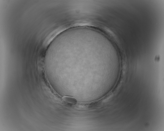 X0000111901361200908240952