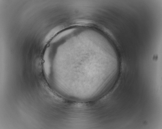 X0000111901362200908240951