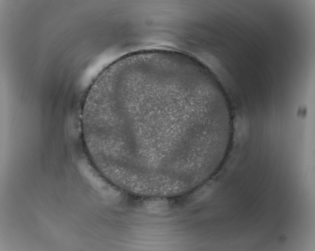 X0000111901363200908240951