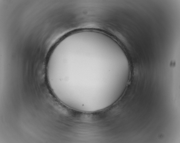 X0000111901364200908240951