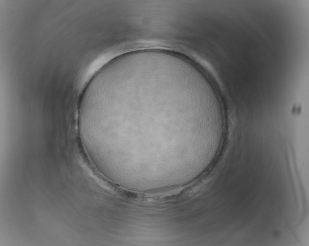 X0000111901365200908240951