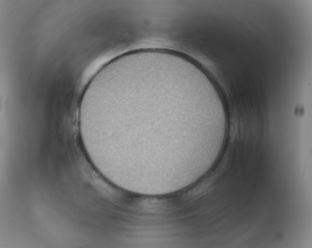 X0000111901366200908240951