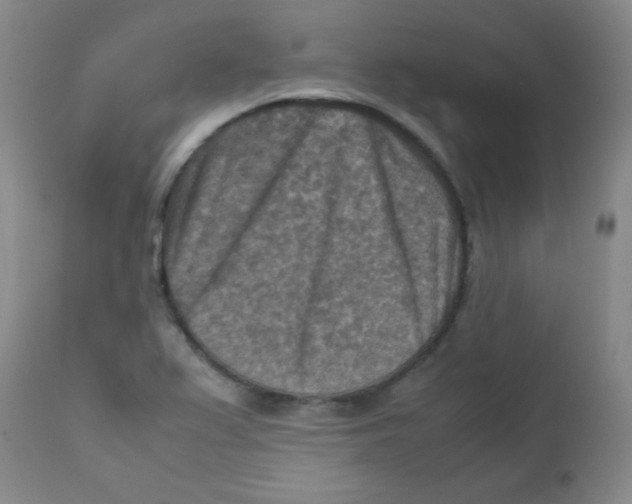 X0000111901367200908240951