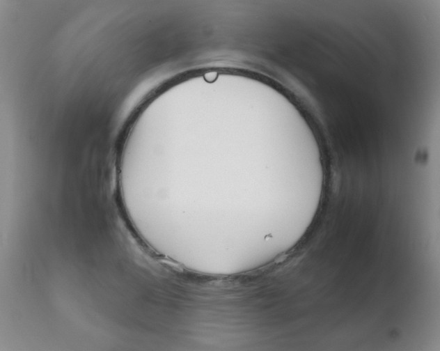 X0000111901368200908240951