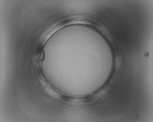 X0000111901369200908240951