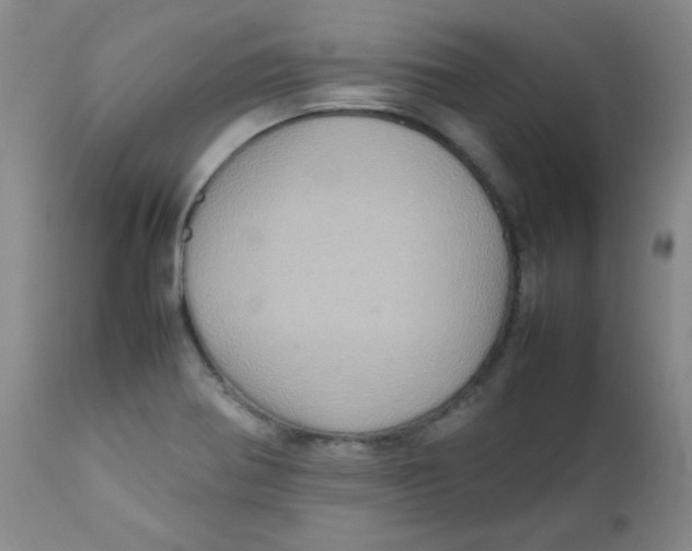 X0000111901370200908240951