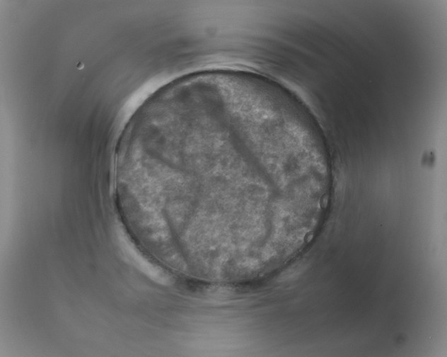 X0000111901371200908240951