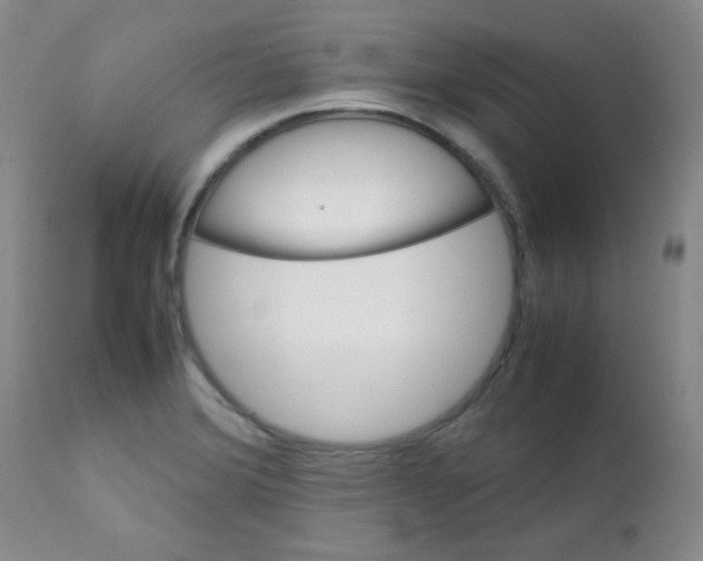 X0000111901372200908240951