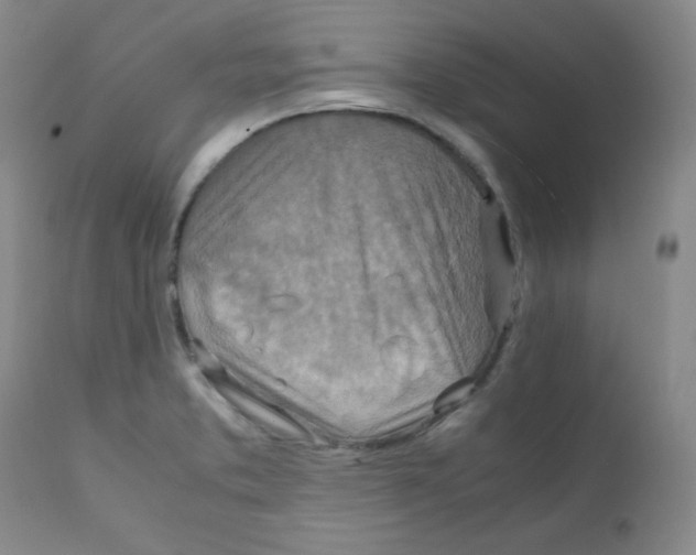 X0000111901373200908240951