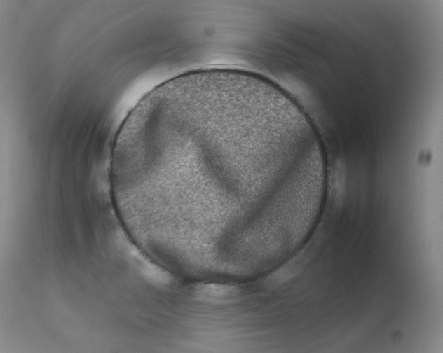 X0000111901374200908240951