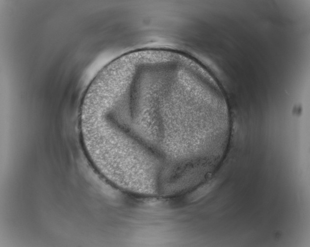 X0000111901375200908240951