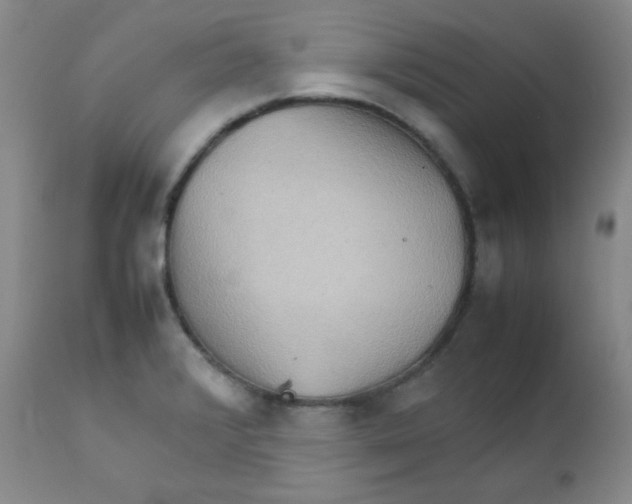 X0000111901376200908240951