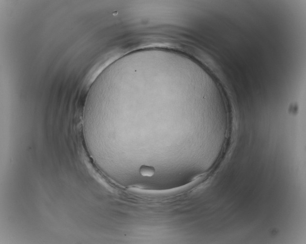 X0000111901377200908240951