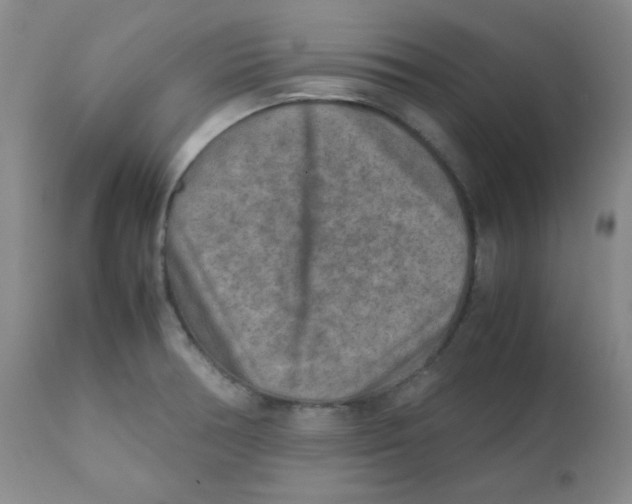 X0000111901378200908240951