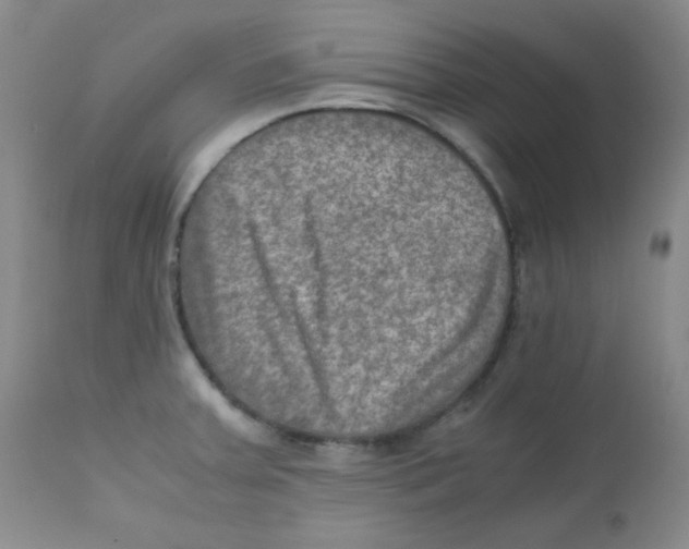 X0000111901379200908240951