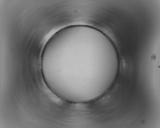 X0000111901380200908240951