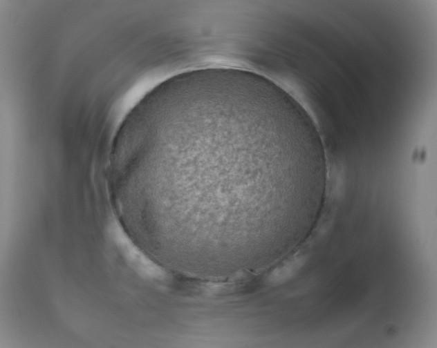 X0000111901381200908240951