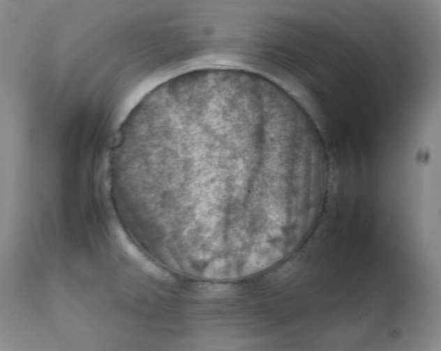 X0000111901382200908240951