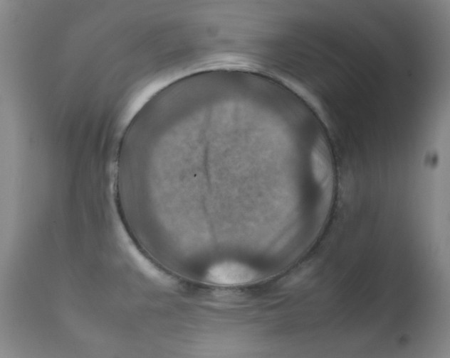 X0000111901383200908240951