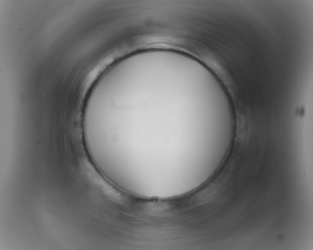 X0000111901384200908240951