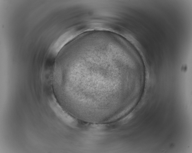 X0000111901385200908240951