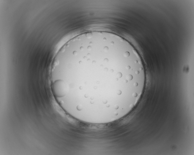 X0000111901386200908240951