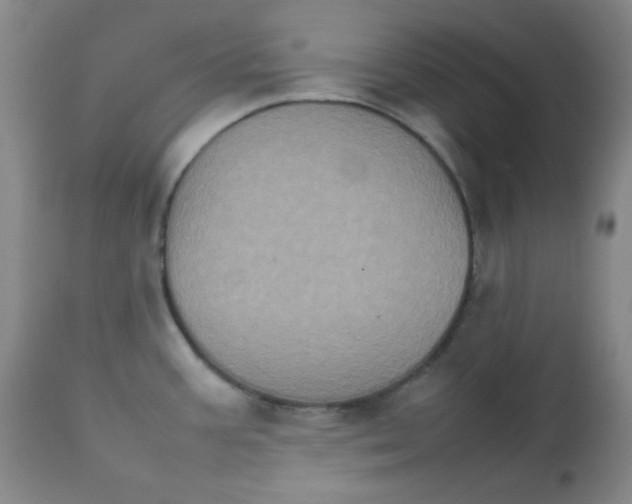 X0000111901387200908240951