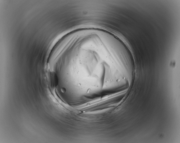 X0000111901388200908240951