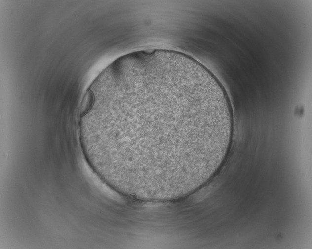 X0000111901389200908240951