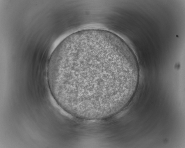 X0000111901390200908240951