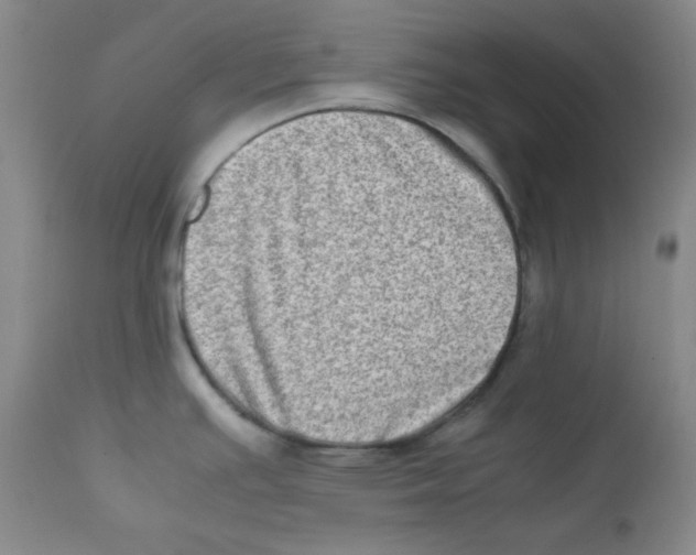 X0000111901391200908240951