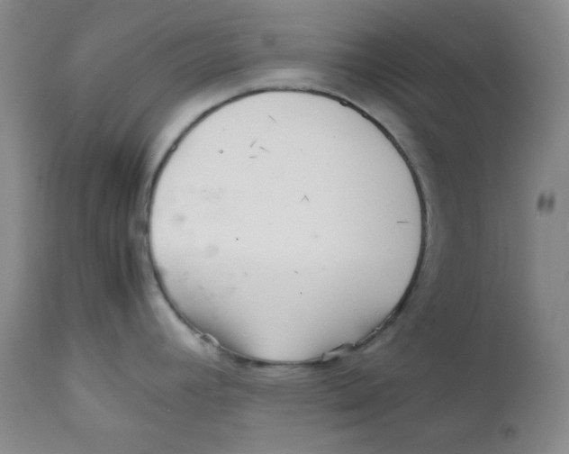 X0000111901392200908240951