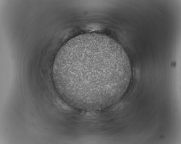 X0000111901393200908240950