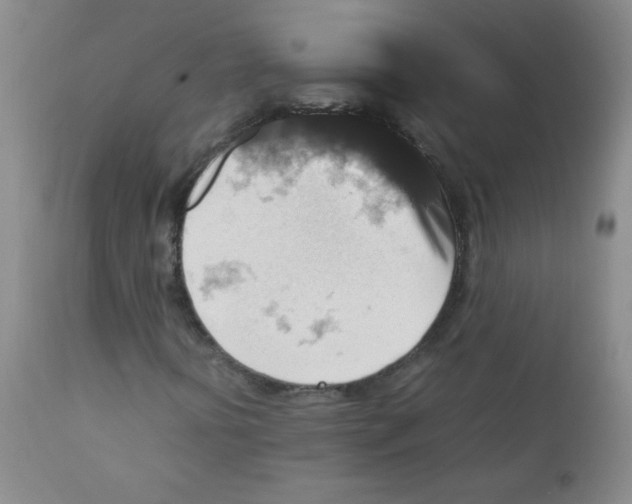 X0000111901394200908240950