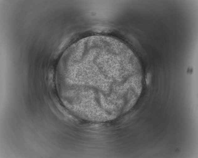 X0000111901396200908240950