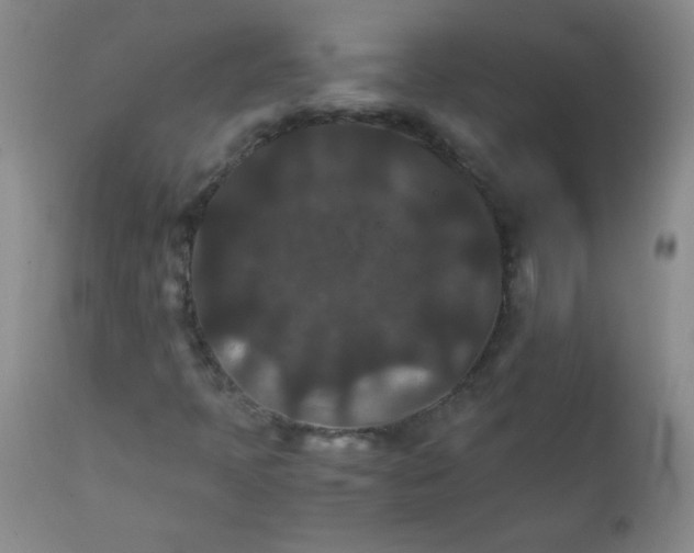 X0000111901397200908240950