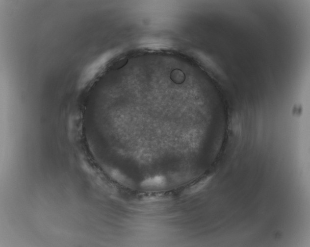 X0000111901398200908240950