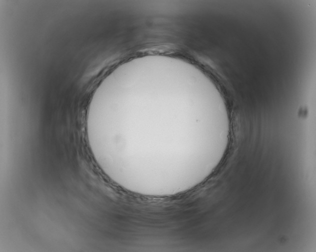 X0000111901399200908240950